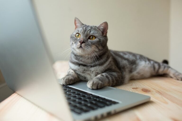 FTC wordt COMPUCAT: meerdere levens voor je hardware