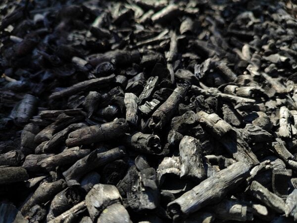 Google sluit de grootste deals ooit voor carbonverwijdering met behulp van biochar