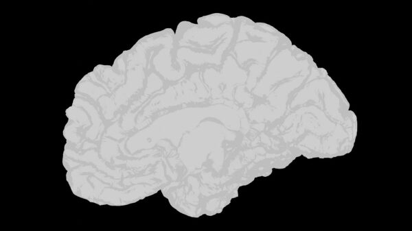 Anthropic introduceert geheugenfunctie voor Claude AI