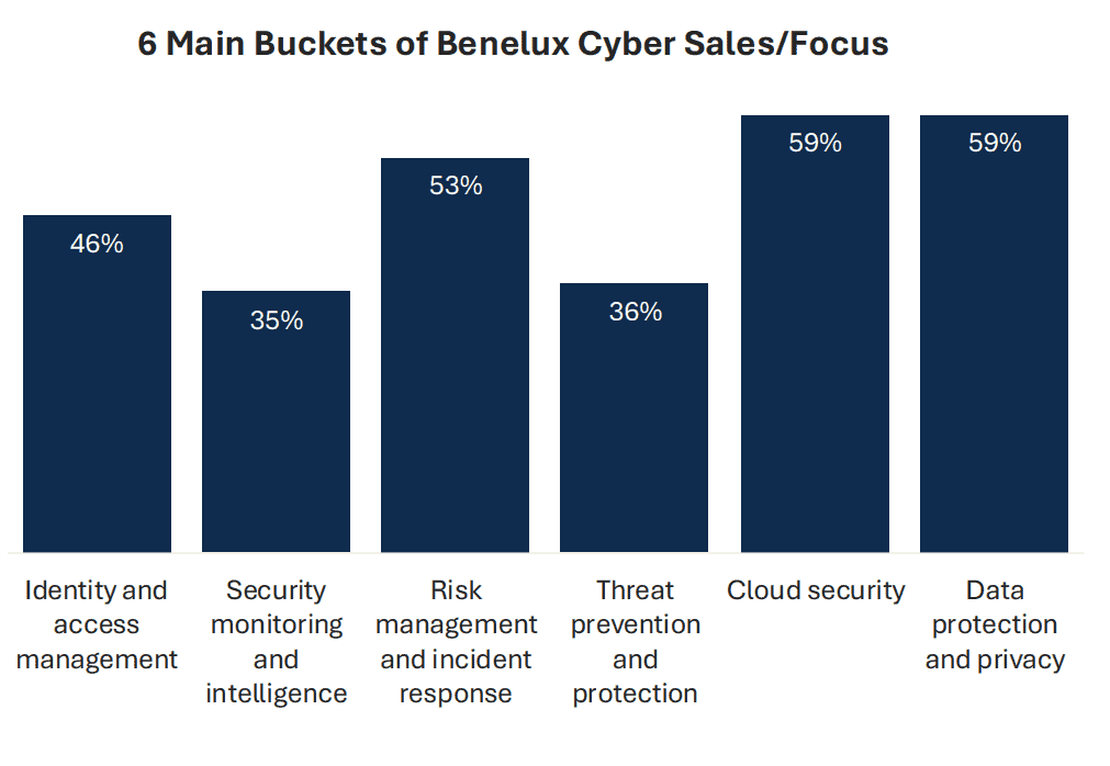 image Staafdiagram met percentages voor zes focusgebieden voor cyberverkoop in de Benelux: Cloudbeveiliging en Gegevensbescherming (59%), Risicobeheer (53%), Identiteitstoegang (46%), Dreigingspreventie (36%), Beveiligingsmonitoring (35%).