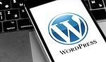 WordPress draait nu volledig in de browser