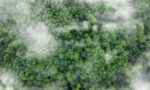 CO₂-uitstoot datacenters stukken hoger dan gedacht