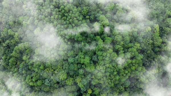 CO₂-uitstoot datacenters stukken hoger dan gedacht
